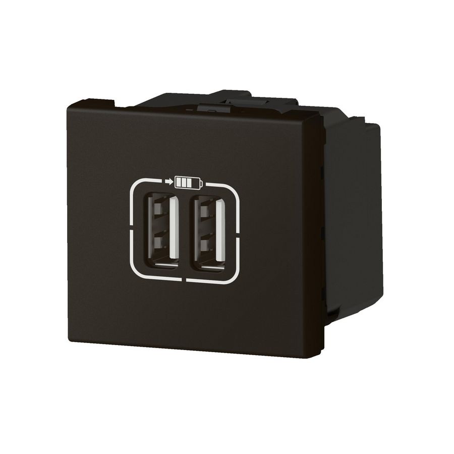 Lader 2xUSB A-2,4A-12W 2 modulen Mosaic