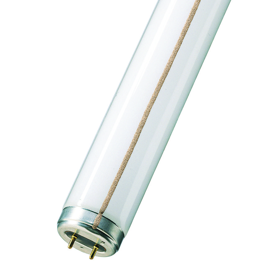 TL-buis TL-M RS G13 65W 840 T12 38X1500 VVE=5