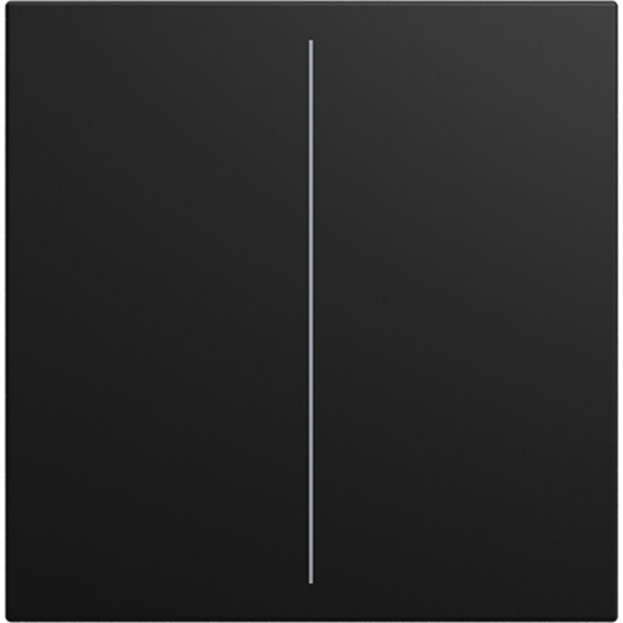 cpl v Keypad 2-voudig SI-B-matzwart (LFW/A.2.55.11-915)