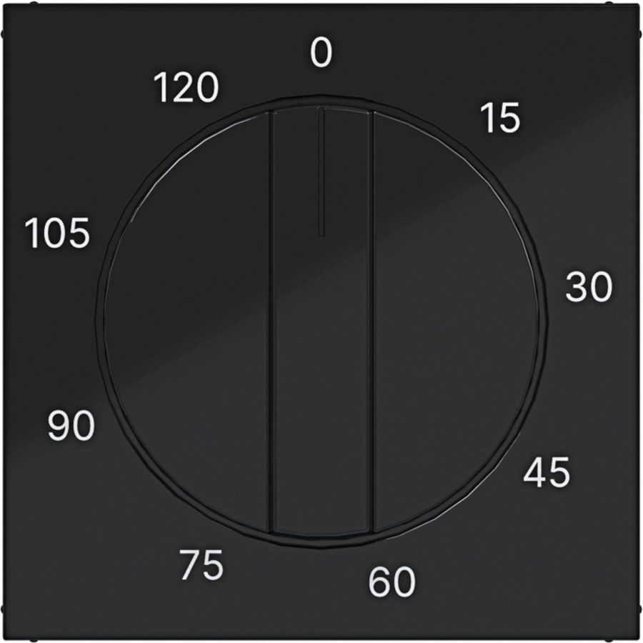 Centraalpl mechanische tijdschakelklok 0-120 min. A.x/C.x zw