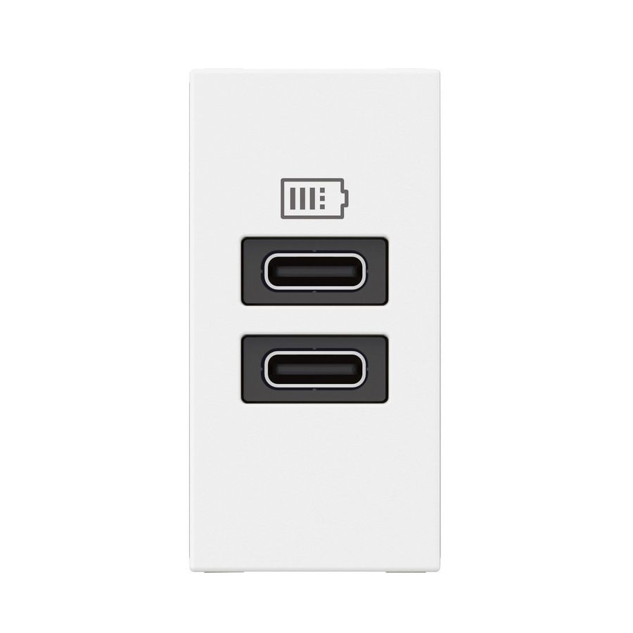 USB lader C + C 15W 1 module wit Mosaic