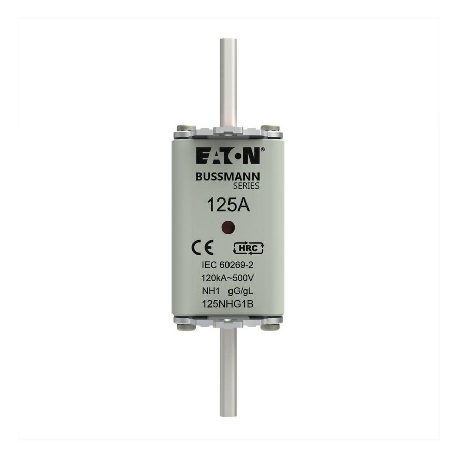 Zekering laagsp. 125A AC 500V NH1 gL/gG dubbele meld VVE=3