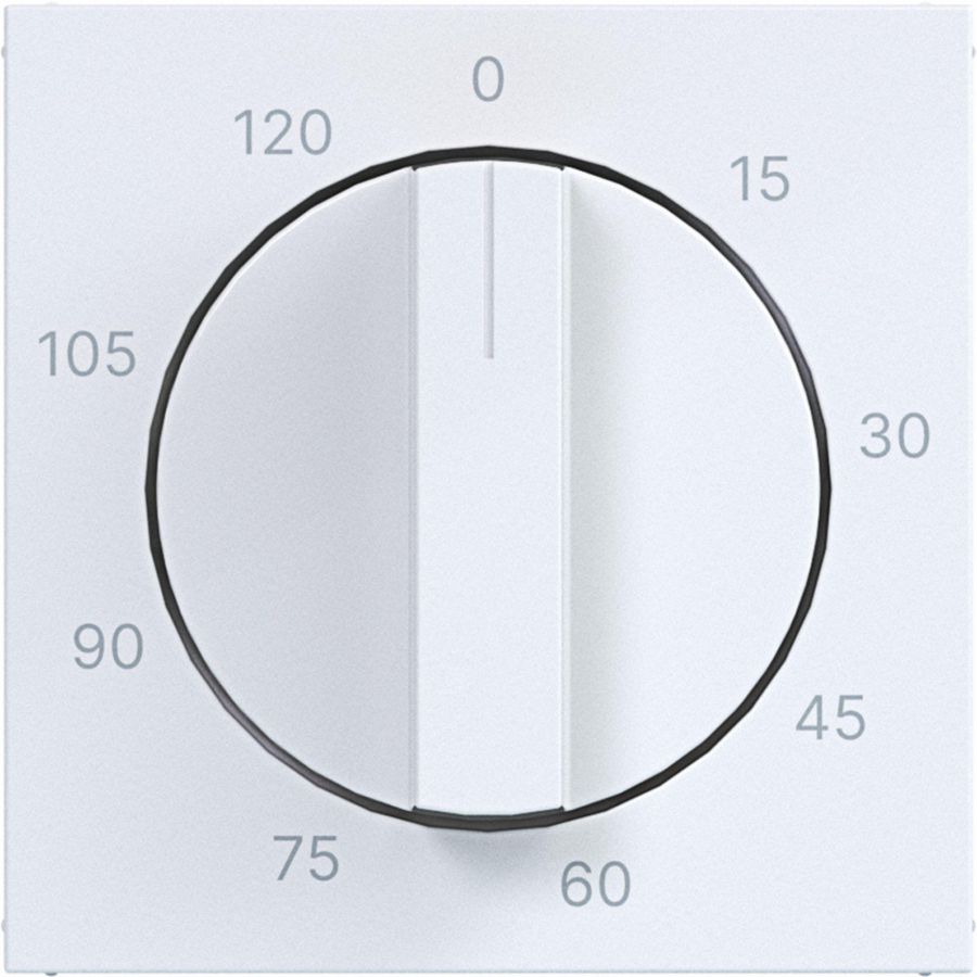 Centraalpl mechanische tijdschakelklok 0-120 min. A.x/C.x wi