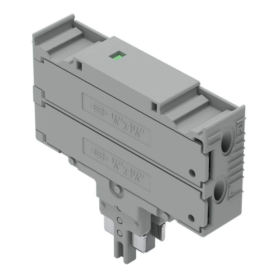 Dubbele zekeringsteker G-smeltpatroon 1/4 x 1 1/4 mm VVE=25