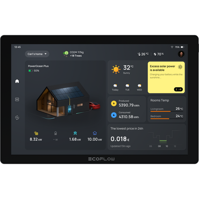 ACTION | EcoFlow | PowerInsight | Home Energy Monitor