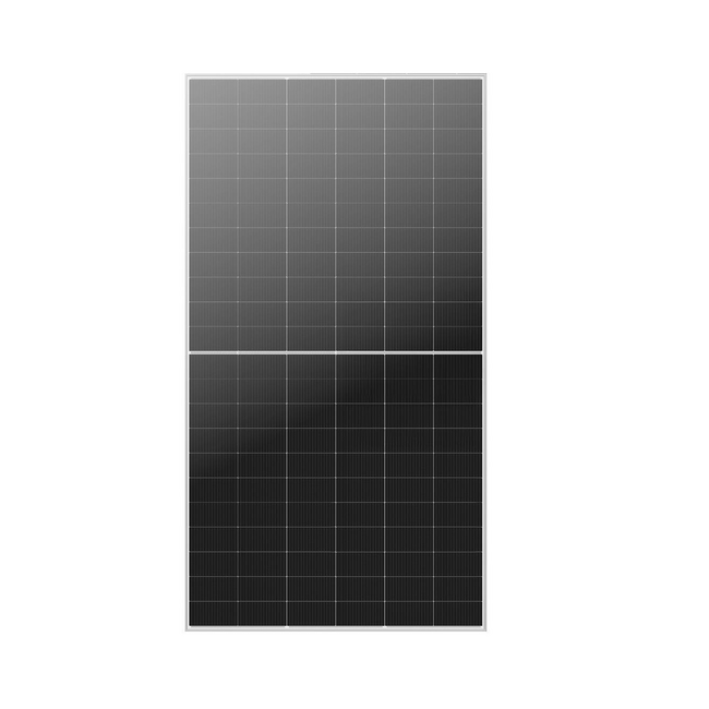 DMEGC 630Wp | Glas-Glas | Silber-Weiß