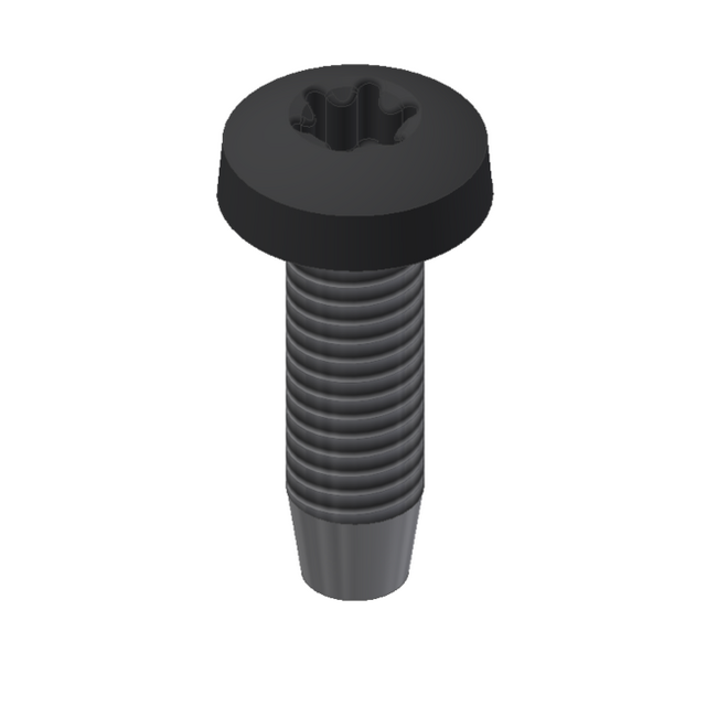 Van der Valk | Stainless steel self-tapping bolt | M6 x 20mm | Black